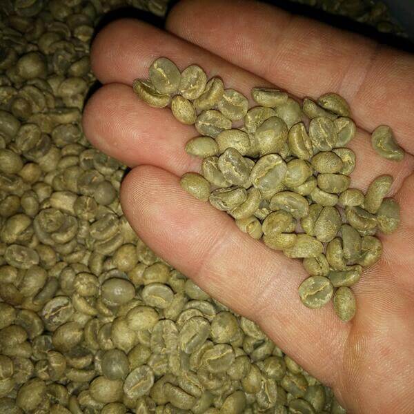 Buying Green Coffee Beans For Home Roasting